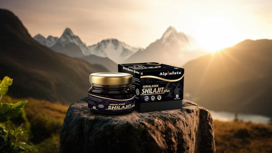 Best Shilajit in India 2025: Top Pure Himalayan Brands for Energy &amp; Vitality